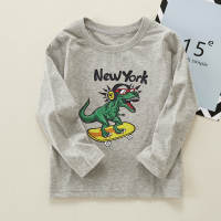 Kids Boys Dinosaur Print Pullover T-shirt  Gray