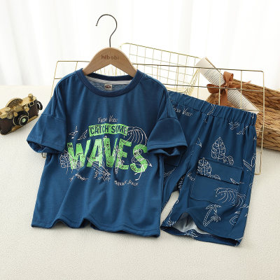 Kids Boys Letter And Plant Print Pullover T-shirt & Shorts Set