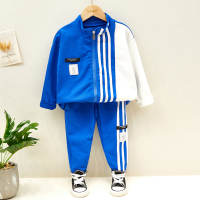 Toddler Boy Stripes Color-block Coat & Pants  Blue