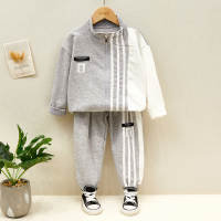 Toddler Boy Stripes Color-block Coat & Pants  Gray