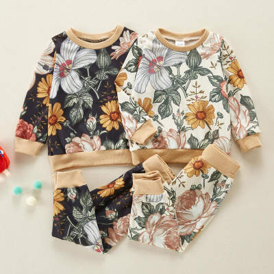 Toddler Girl Floral Print Color-block Sweater & Pants