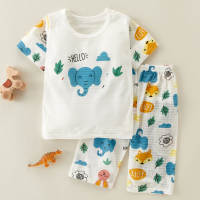 Toddler Boy Cartoon Pattern T-shirt & Pants Pajamas  Blue