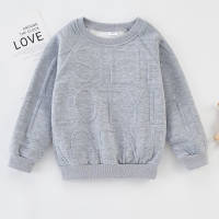 Toddler Boy Letter Pattern Long Sleeves Sweatshirts  Gray