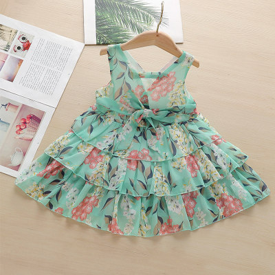 Baby Girl Floral Print Layered Sleeveless Dress
