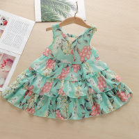 Baby Girl Floral Print Layered Dress - Hibobi