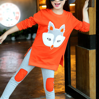 2-piece Fox Pattern Sweatshirt & Pants for Girl