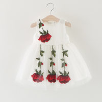 Mesh Floral Dress for Toddler Girl  White