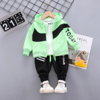 Toddler Boys Casual Letter Printed Hooded Top & Pants & Shirt & T-shirt  Green