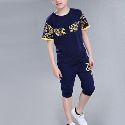 Boy Wing Print Geometrisches Muster T-Shirt &amp; Caprihose