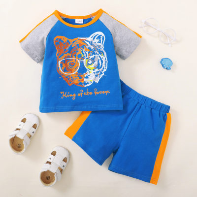 Toddler Boy Cotton Animal Color-block Top & Shorts