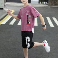 Kid Boy Summer Splicing T-shirt & Shorts  Purple