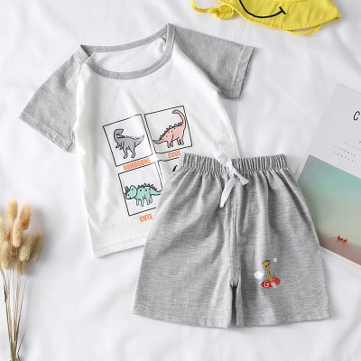 Toddler Boy Dinosaur Pattern Color Block T-shirt & Shorts
