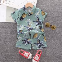 Toddler Boy Pineapple Print Shirt & Shorts  Green