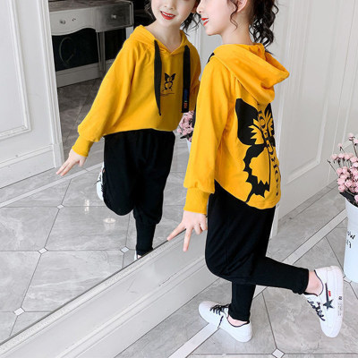 2-piece Butterfly Pattern Hoodie & Pants for Girl