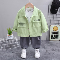 Toddler Boy Basic Cotton Letter Printed T-shirt & Top & Pants  Light Green