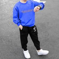 Kid Boy Letter Print Casual Sweater & Pants  Blue