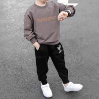 Kid Boy Letter Print Casual Sweater & Pants  Gray