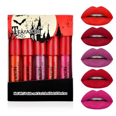 Matte matte lip gloss, five mini set box, lip gloss lipstick, not easy to stick to cup, nude pumpkin color
