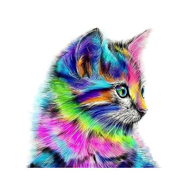 Animal DIY diamond painting, colorful cat 5D diamond painting, customized design, dot diamond painting, full diamond painting