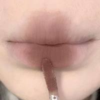 DIXI pequeño tubo plateado esmalte de labios terciopelo mate blanqueamiento de labios barro chica natural todo-fósforo en vivo nuevo maquillaje  Multicolor1
