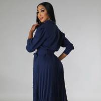 Spring and Summer Long Sleeve Polo Neck High Waist Fashion Casual Pleated Women's Dress  Blue