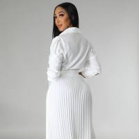 Spring and Summer Long Sleeve Polo Neck High Waist Fashion Casual Pleated Women's Dress  White