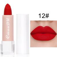 CmaaDu15 matte moisturizing lipstick waterproof matte lip gloss  Multicolor1
