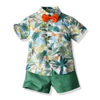 الصيف قصيرة الأكمام الأزهار قميص الصبي السراويل عارضة قطعتين الطفل التجارة الخارجية ملابس الأطفال متعدد الألوان ملابس الشاطئ دفعة ساخنة  متعدد الألوان