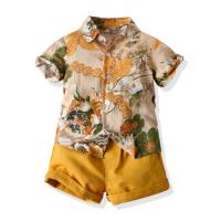 Summer short-sleeved floral shirt boy shorts casual two-piece baby foreign trade children's clothing multi-color beach clothes hot batch  Multicolor