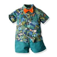 Camisa floral de manga corta de verano, pantalones cortos para niño, ropa informal de dos piezas para bebés de comercio exterior, ropa para niños, ropa de playa multicolor, lote caliente  Multicolor