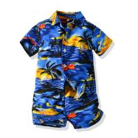 Camisa floral de manga corta de verano, pantalones cortos para niño, ropa informal de dos piezas para bebés de comercio exterior, ropa para niños, ropa de playa multicolor, lote caliente  Multicolor