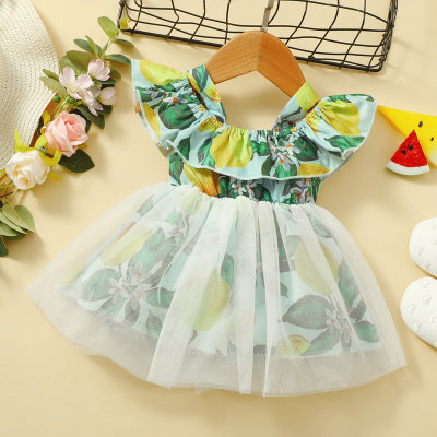 Baby Girl Floral Print Sling Mesh Dress