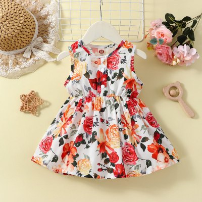 Baby Girl Allover Floral Printed Sleeveless Dress