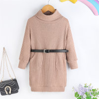 Toddler Girl Solid Color Ribbed Pocket Front Turtle Neck Long Sleeve Knitted Dress with Belt  Khaki