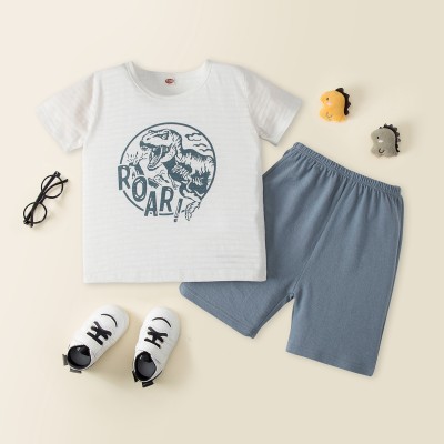 Toddler Boys Dinosaur Loose Pajamas Top & Shorts