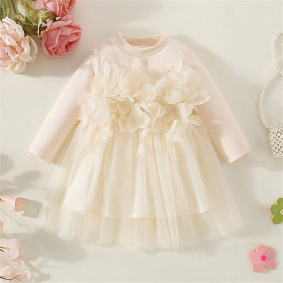 Baby Girl Floral Decorative Beads Mesh Dress
