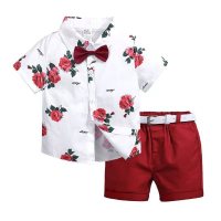 Amazon venda quente primavera e verão meninos estampa de folhas + shorts terno praia férias estilo shorts de manga curta terno de duas peças  Vermelho