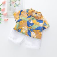 Amazon hot sale spring and summer boys leaf print + shorts suit beach holiday style short sleeve shorts two-piece suit  Yellow