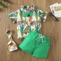 Nuevo traje de dos piezas con estampado de hojas y pantalones cortos para niños de primavera y verano, estilo de vacaciones en la playa, pantalones cortos de manga corta  Verde