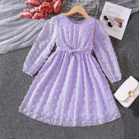 Kid Girl Solid Color Round Neck Flocking Long Sleeve Dress  Purple