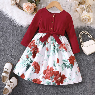 Kid Girl Floral Printed Patchwork Button Front Lapel Long Sleeve Dress