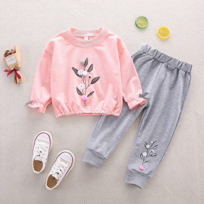 2-piece Floral Printed Sweatshirts & Pants for Toddler Girl