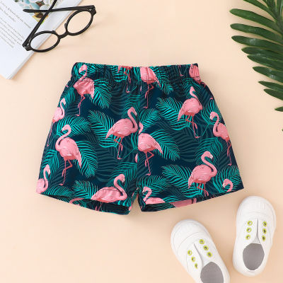 Baby Boy Allover Flamingo Printed Shorts