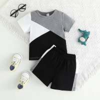 2-piece Toddler Boy Color-block Patchwork Short Sleeve T-shirt & Matching Shorts  Gray