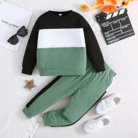 2-piece Toddler Boy Color-block Sweatshirt & Matching Pants  Green