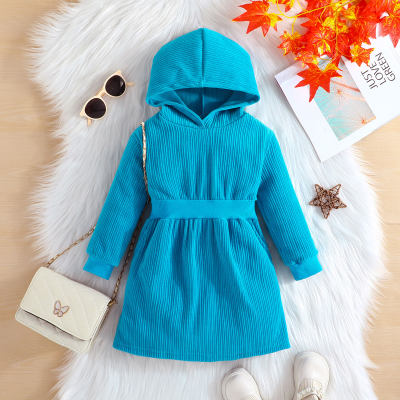 Toddler Girl Solid Color Hooded Long Sleeve Dress