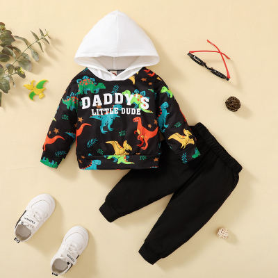 Baby Color-block Letter Printed Hooded Sweater & Pants