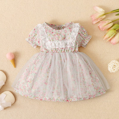 Baby Girl Floral Pattern Lace Decor Puff Sleeve Mesh Dress