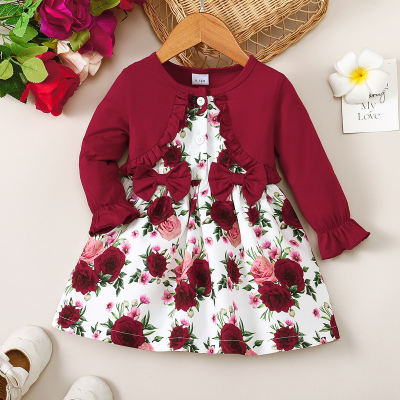 Baby Girl Floral Pattern Bow-knot Decor Long Sleeve Dress