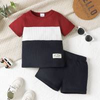 Baby Boy 2 Pieces Color-block T-shirt & Shorts  Burgundy
